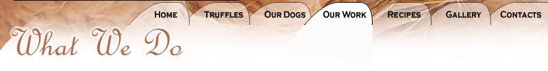 What We Do